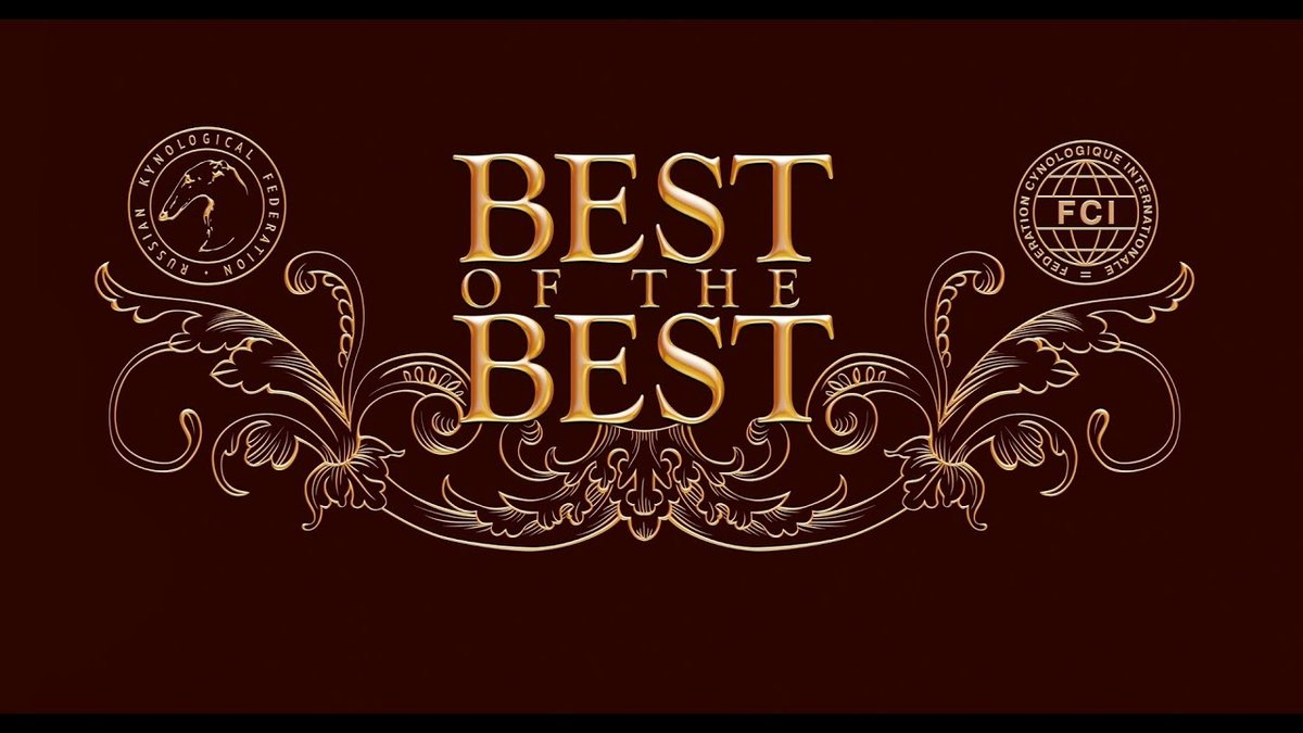 Best Celebration Songs: A Party Playlist for Every Mood