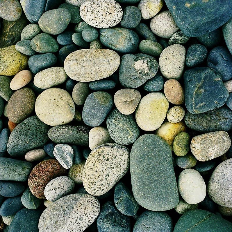 Rock rock song: Timeless Anthems That Still Resonate Today